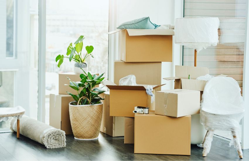 alquiler furgoneta mudanza